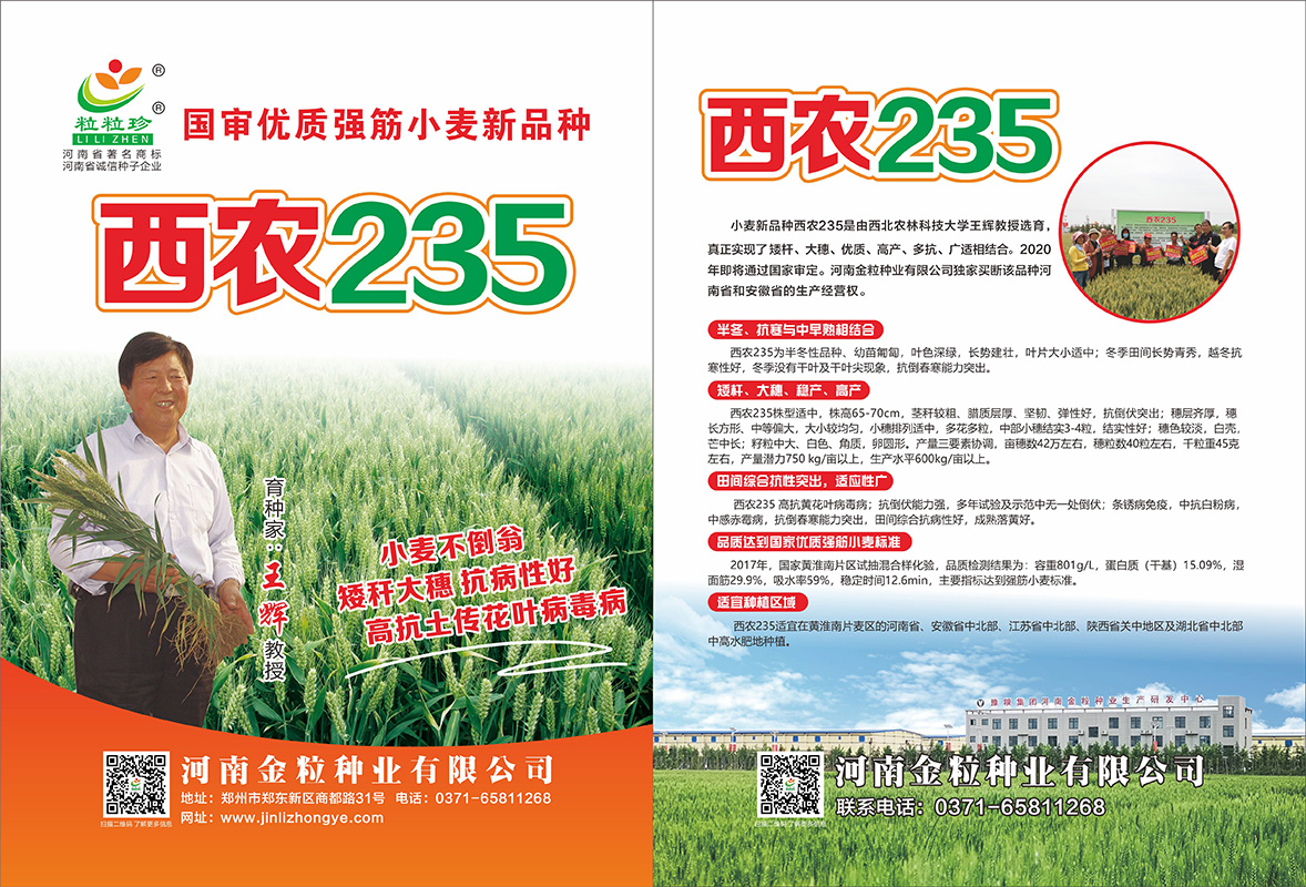 西農235單頁